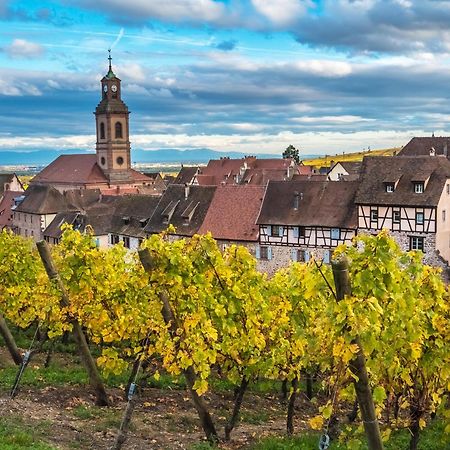 Gite "Le Piemont Des Vosges " Stotzheim Exteriör bild