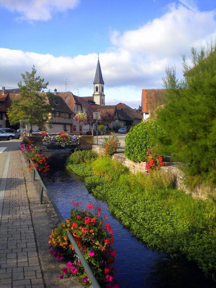 Gite "Le Piemont Des Vosges " Stotzheim Exteriör bild