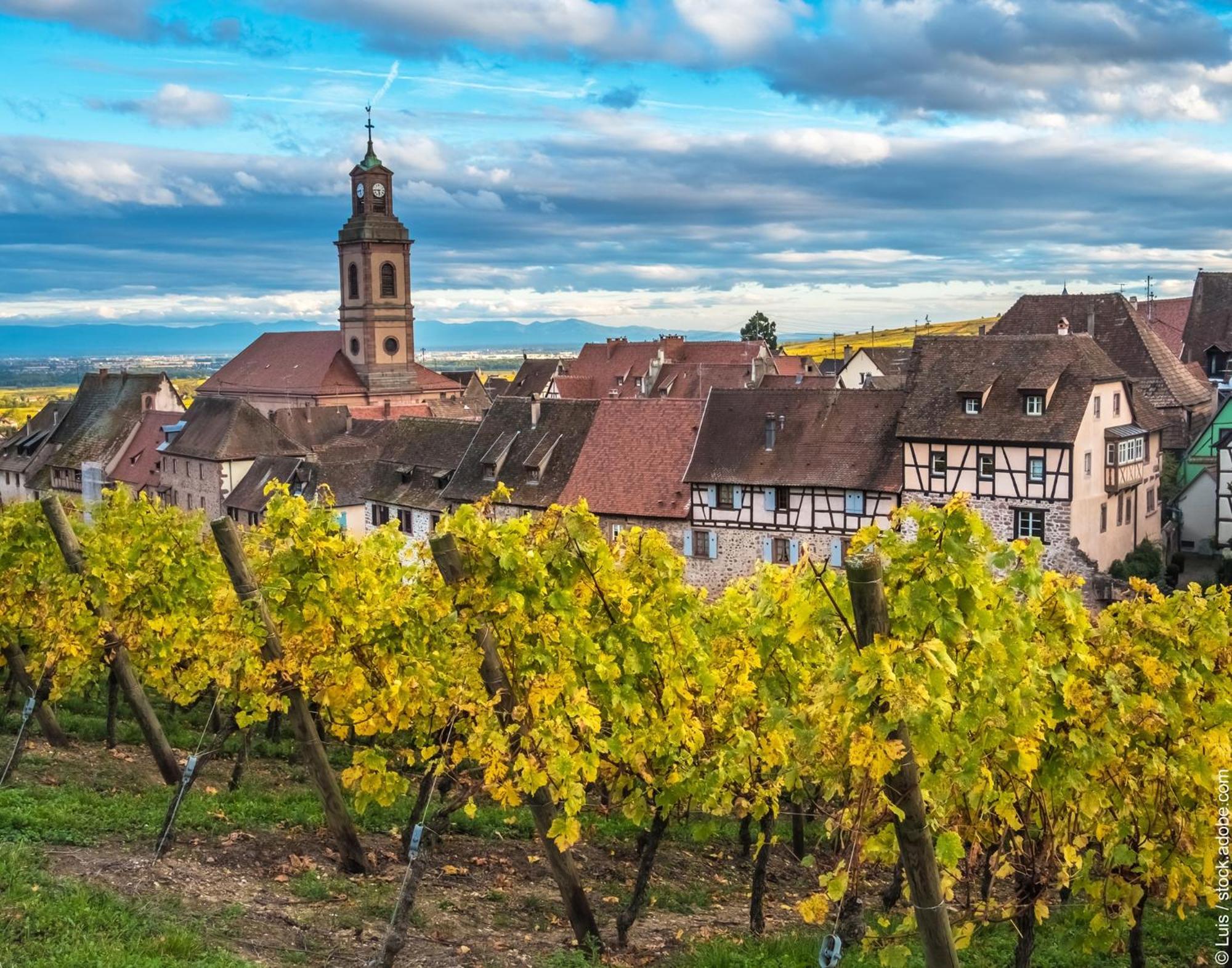 Gite "Le Piemont Des Vosges " Stotzheim Exteriör bild