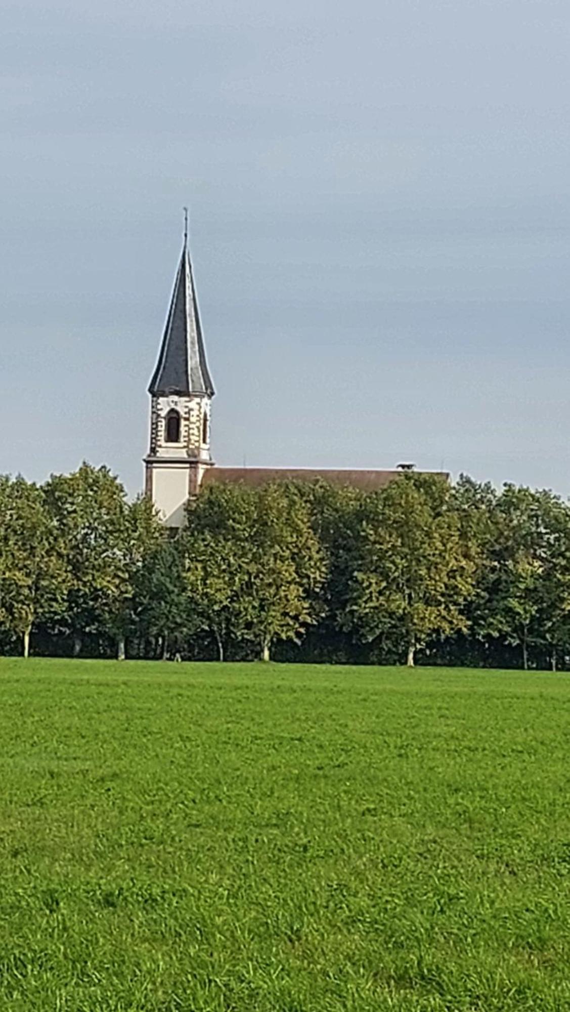 Gite "Le Piemont Des Vosges " Stotzheim Exteriör bild