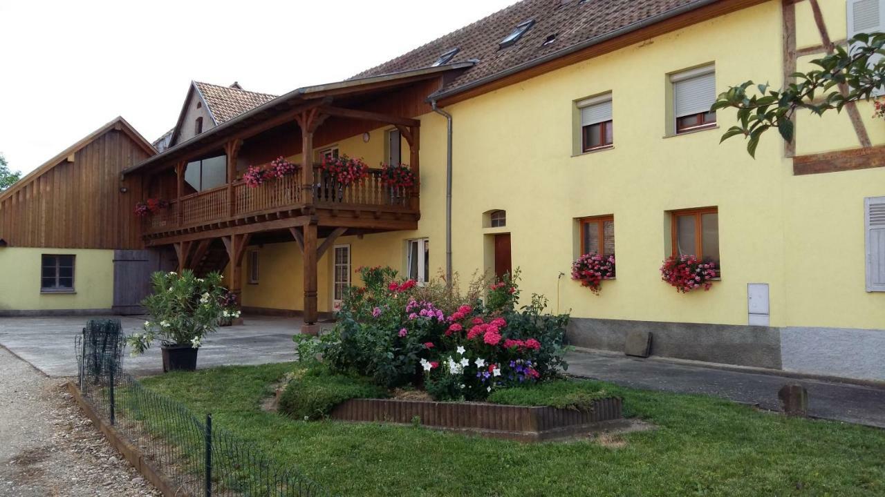Gite "Le Piemont Des Vosges " Stotzheim Exteriör bild