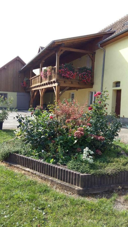 Gite "Le Piemont Des Vosges " Stotzheim Exteriör bild