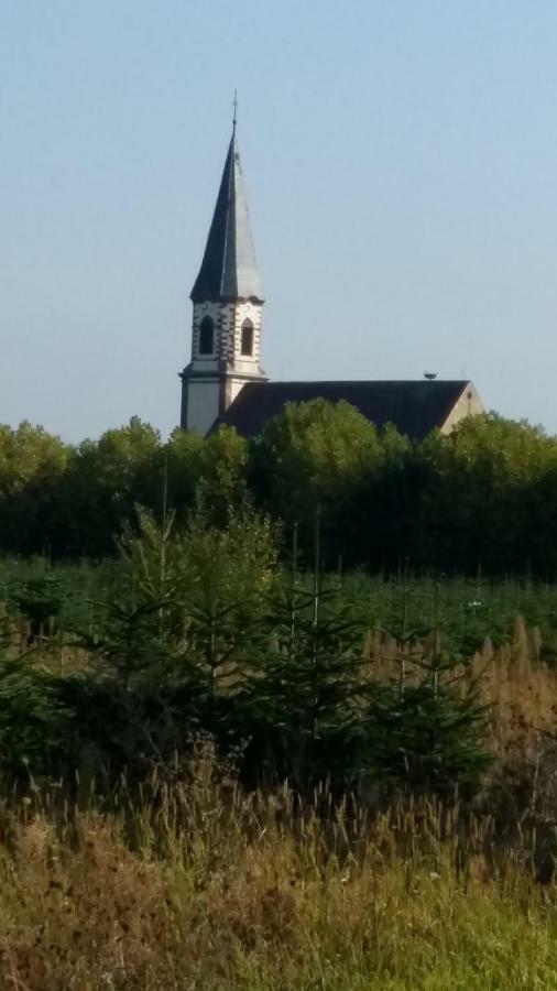 Gite "Le Piemont Des Vosges " Stotzheim Exteriör bild